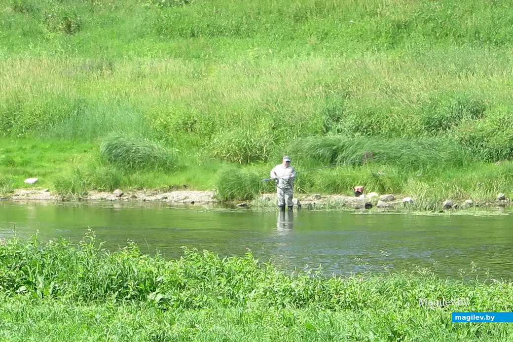 9.07.2023 г. Могилев... кто-то рыбачит...