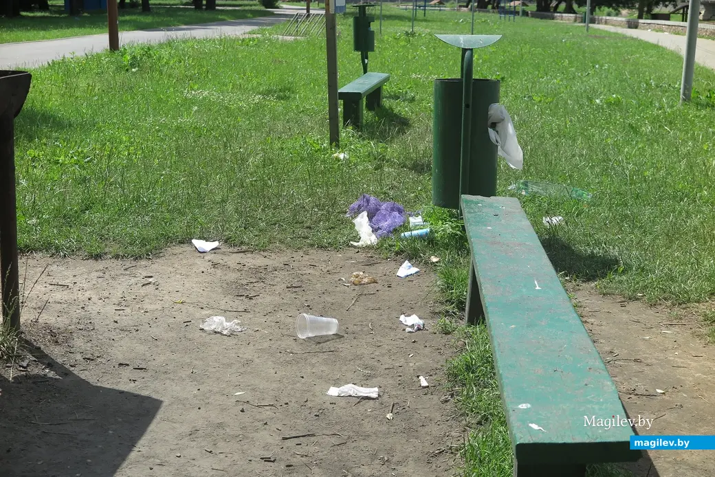 9.07.2023 г. Могилев, городской пляж. Кто забыл хрюкнуть?