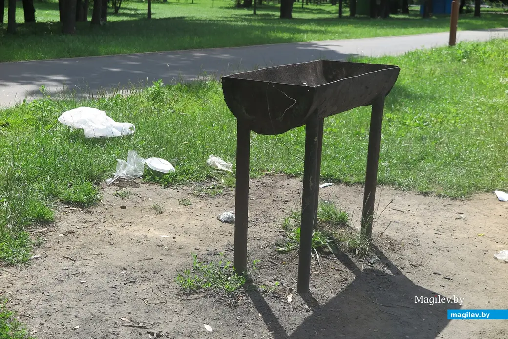 9.07.2023 г. Могилев, городской пляж. Кто забыл хрюкнуть?