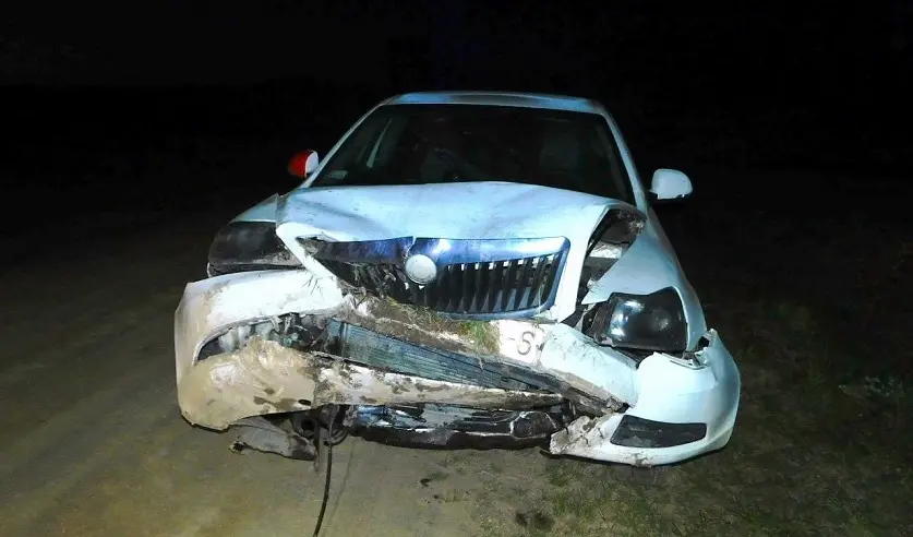 Фото: УГКСЭ по Могилевской области.