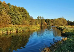 Пьяная девушка чуть не утонула в Осиповичском районе