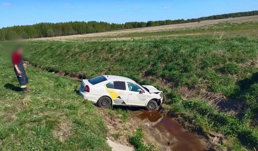 Фото: УГКСЭ по Могилевской области.