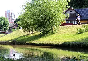 «Я бы вообще в городе все рынки закрыла…»: жизнь глазами могилевчан