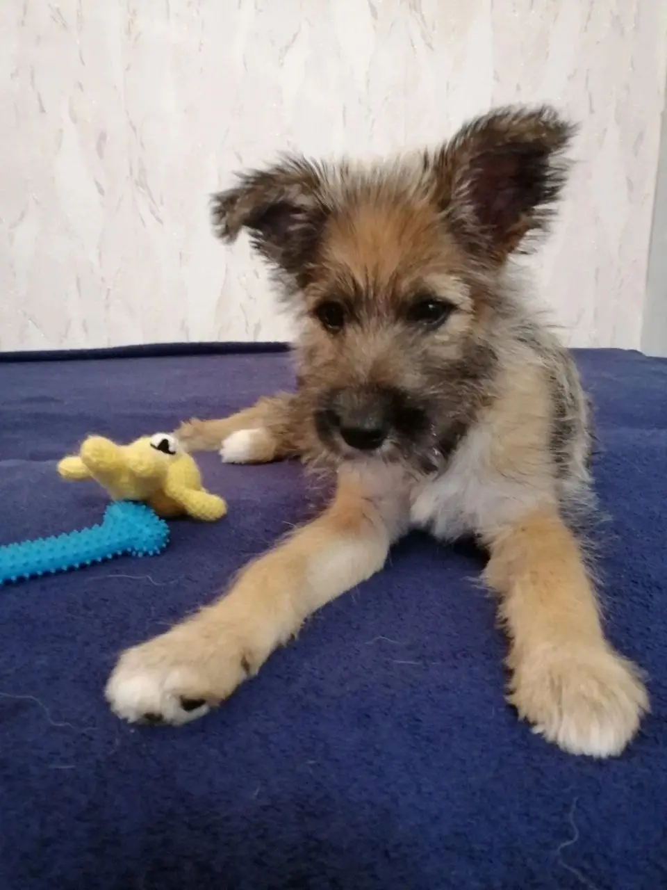 Красотка Кася.