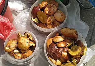 Грибы маслята продают на Минском рынке в Могилеве. Фотофакт