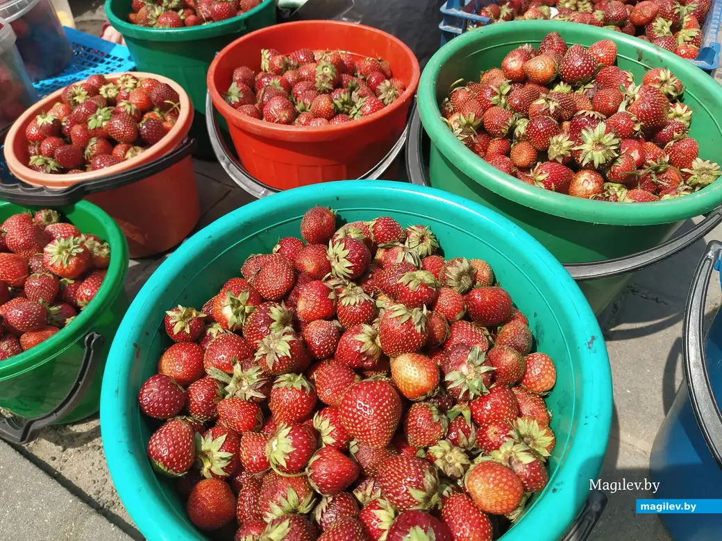 Привокзальный рынок в Могилеве. 13 июля 2023 года.