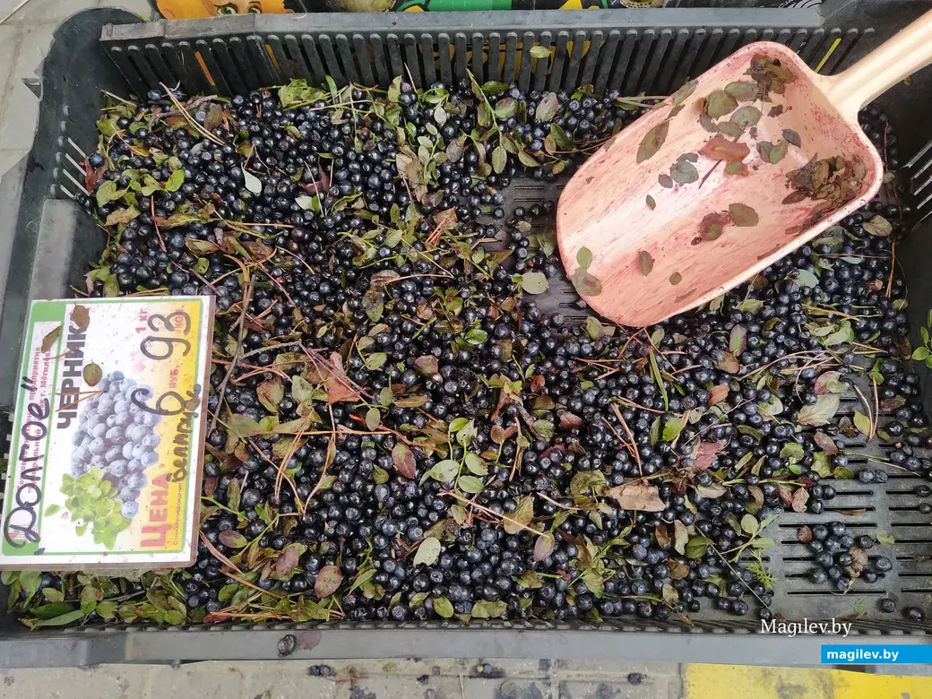 Привокзальный рынок в Могилеве. 13 июля 2023 года.