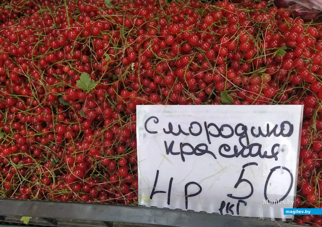 Привокзальный рынок в Могилеве. 13 июля 2023 года.