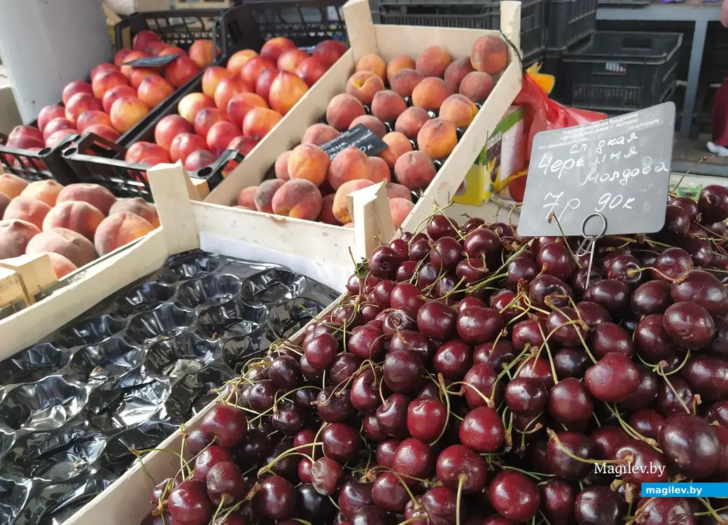 Центральный) (Минский рынок в Могилеве. 13 июля 2023 года.