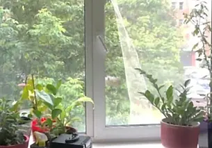 В Витебске 5-летний мальчик выпал из окна, но остался жив