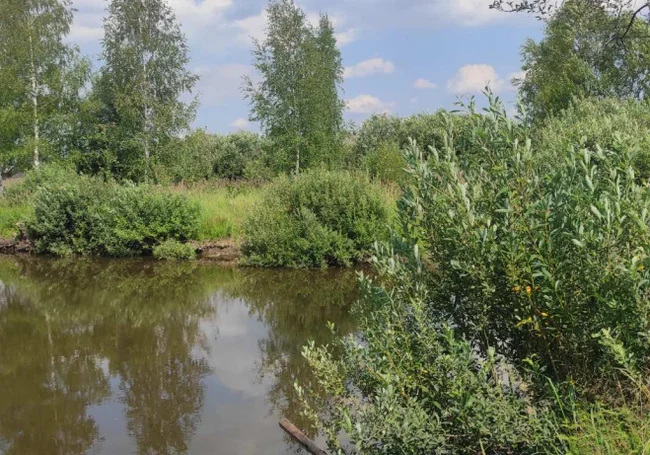 В Могилевской области утонули ребенок и пожилой мужчина