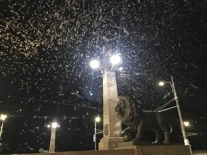 А так было в прошлом 2022 году у Днепра в Могилеве. И тоже 18 июля.