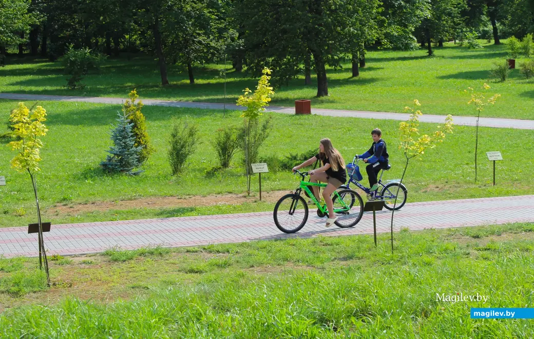 Путешествие одного дня в Белыничи. Июль 2023 год. Парк культуры и отдыха.