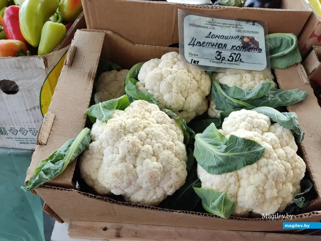 Центральный (Минский) рынок. Могилев, 21.07.2023 г.