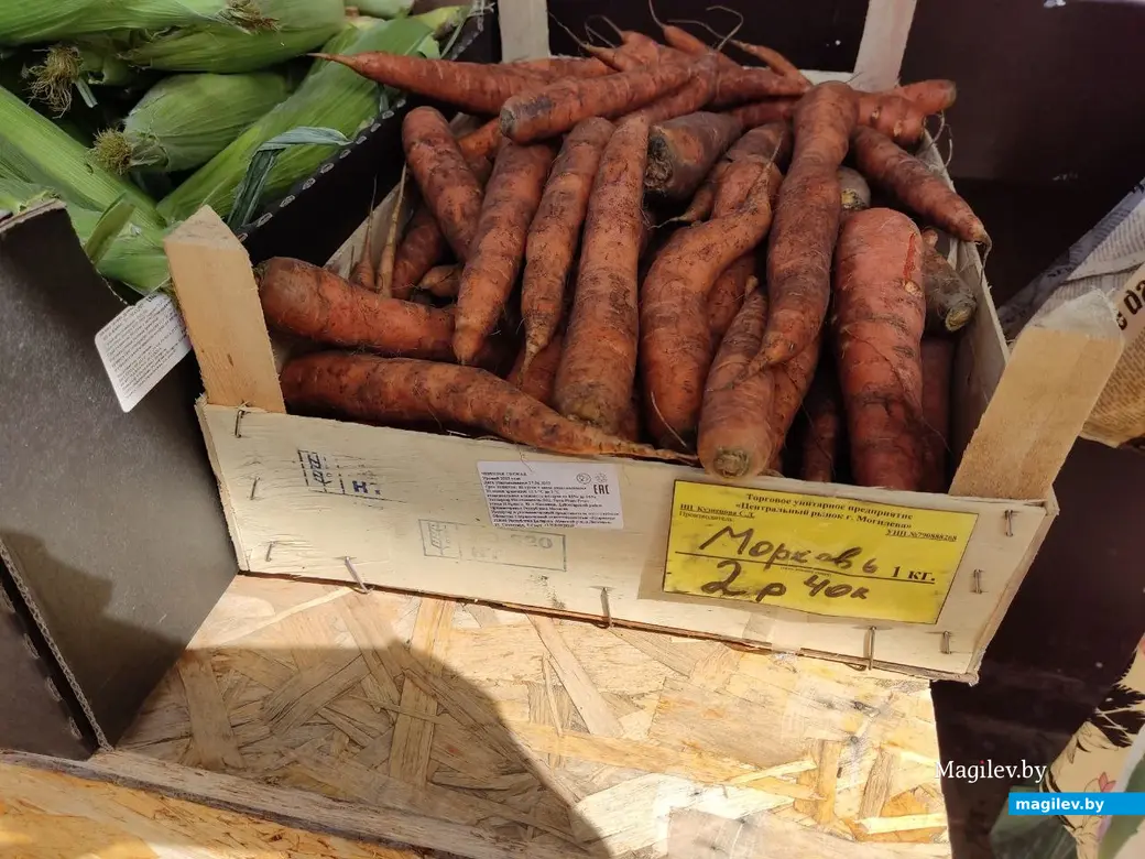 Центральный (Минский) рынок. Могилев, 21.07.2023 г.