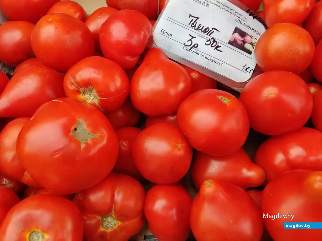 Центральный (Минский) рынок. Могилев, 21.07.2023 г.