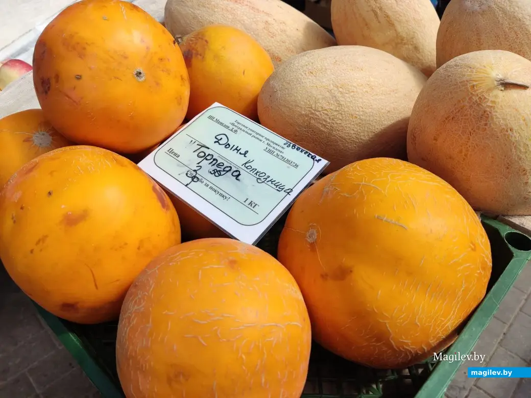 Центральный (Минский) рынок. Могилев, 21.07.2023 г.