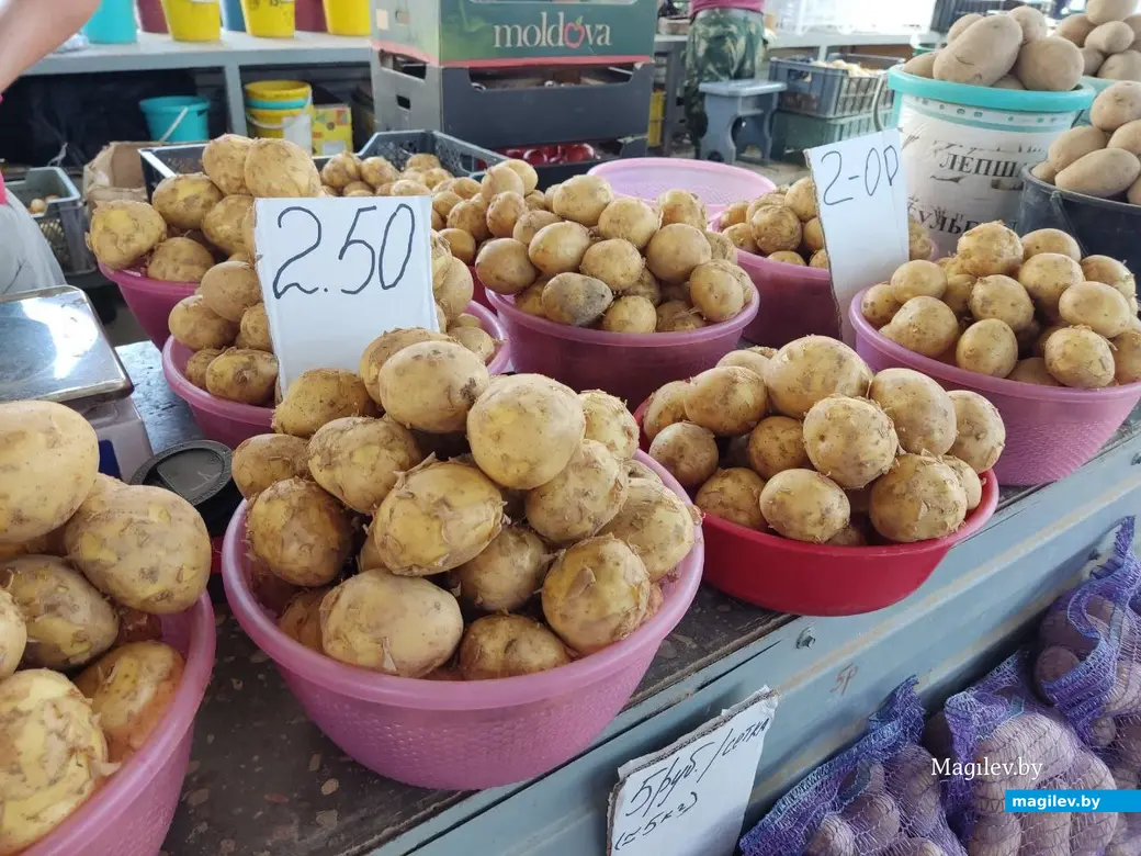 Центральный (Минский) рынок. Могилев, 21.07.2023 г.