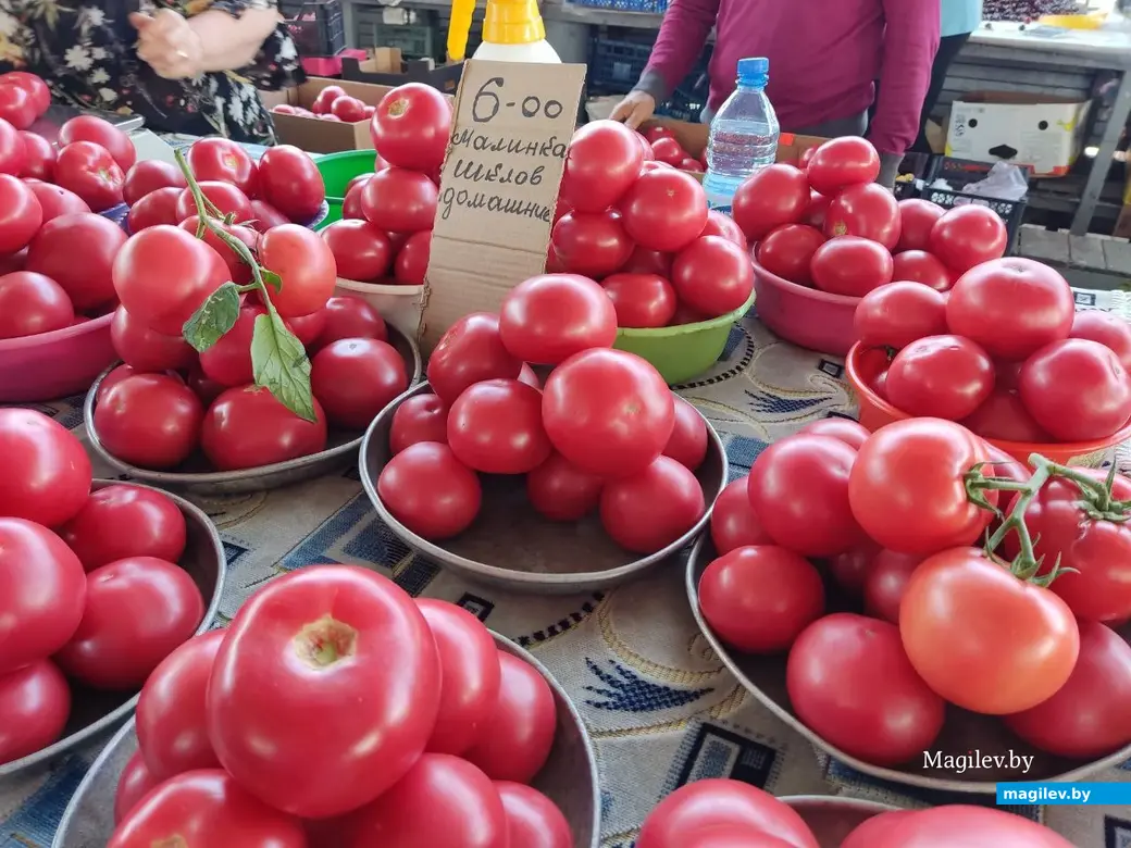 Центральный (Минский) рынок. Могилев, 21.07.2023 г.