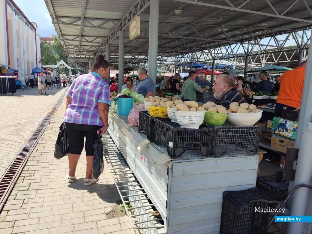 Центральный (Минский) рынок. Могилев, 21.07.2023 г.