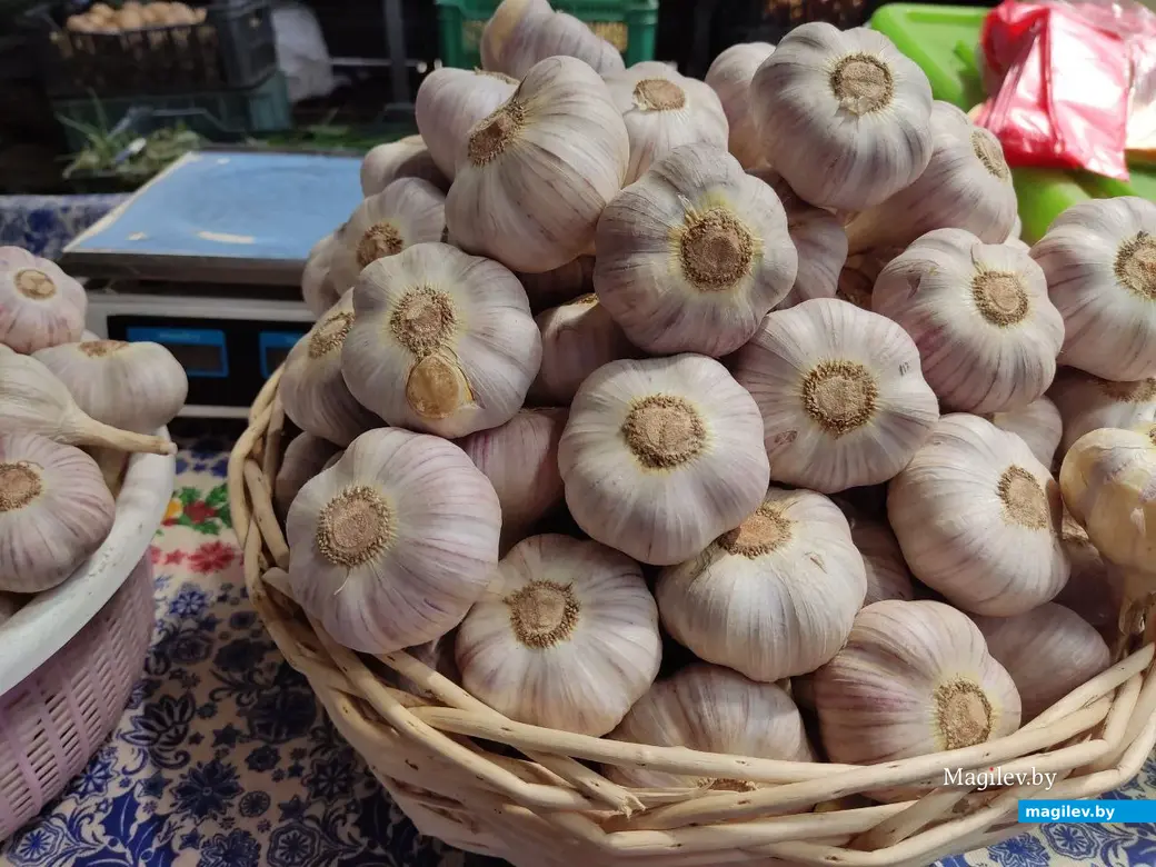 Центральный (Минский) рынок. Могилев, 21.07.2023 г.