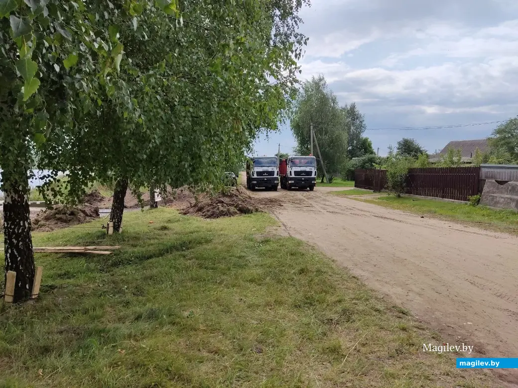 В Могилеве идут работы по очистке Гребеневского водохранилища. 24.07.2023 г.