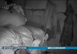 Животновод из Осипович похитил почти тонну кормовых смесей (видео)