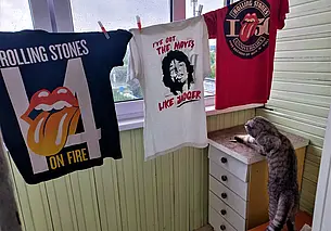 Однажды в Могилеве. Мик, Мак, кот…