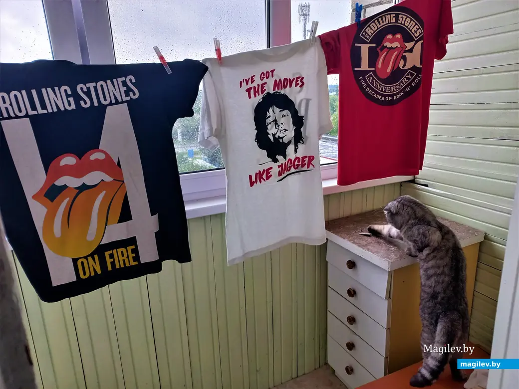 Кот Масик сразу здраво оценил обстановку. Могилев, июль 2023 года.