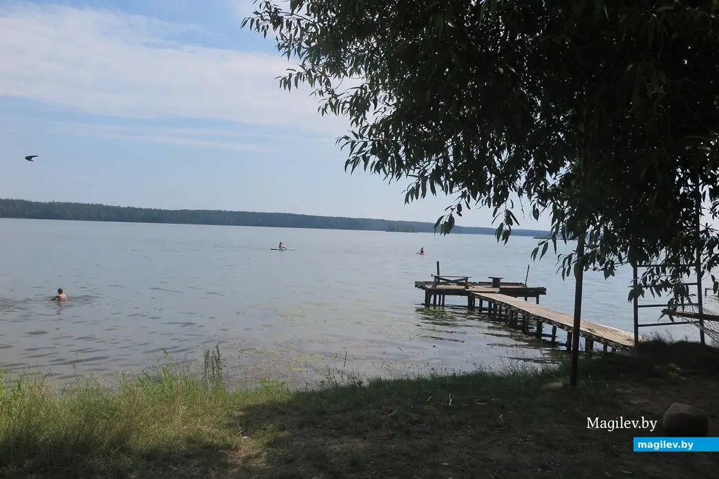 Июль 2023 г. Чигиринское водохранилище. Водичка - супер!