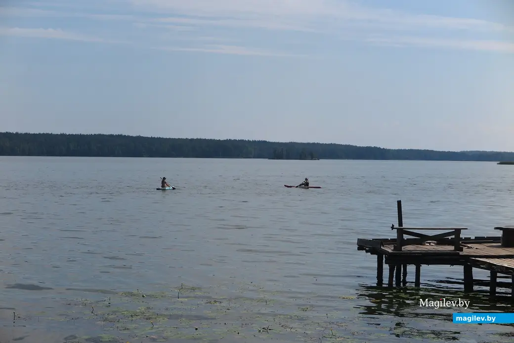 Июль 2023 г. Вот таких пирсов на Чигиринке - уйма, с маленьким ребенком на них не пойдешь.