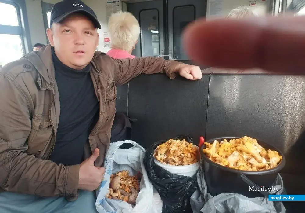 Бобруйчанин Константин Афнагель собрал 8 кг. 740 грамм лисичек!