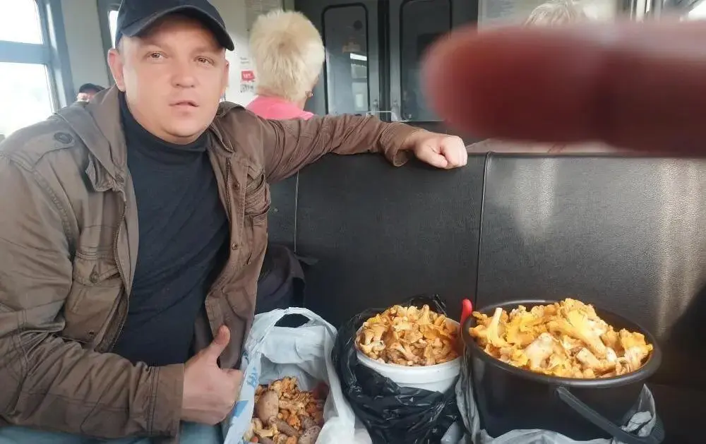 Константин Афнагель собрал 8 кг. 740 грамм лисичек!