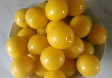 Кабачки, алыча, помидоры и не только: бесплатные объявления на KRAMA.magilev