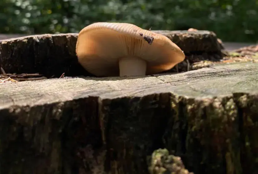 Фото Кристины Насевич из Могилева.