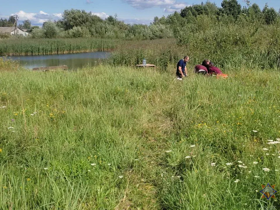 Славгород, озеро на улице Стрельцова, где утонул ребенок. 28.07.2023 г Фото: УМЧС