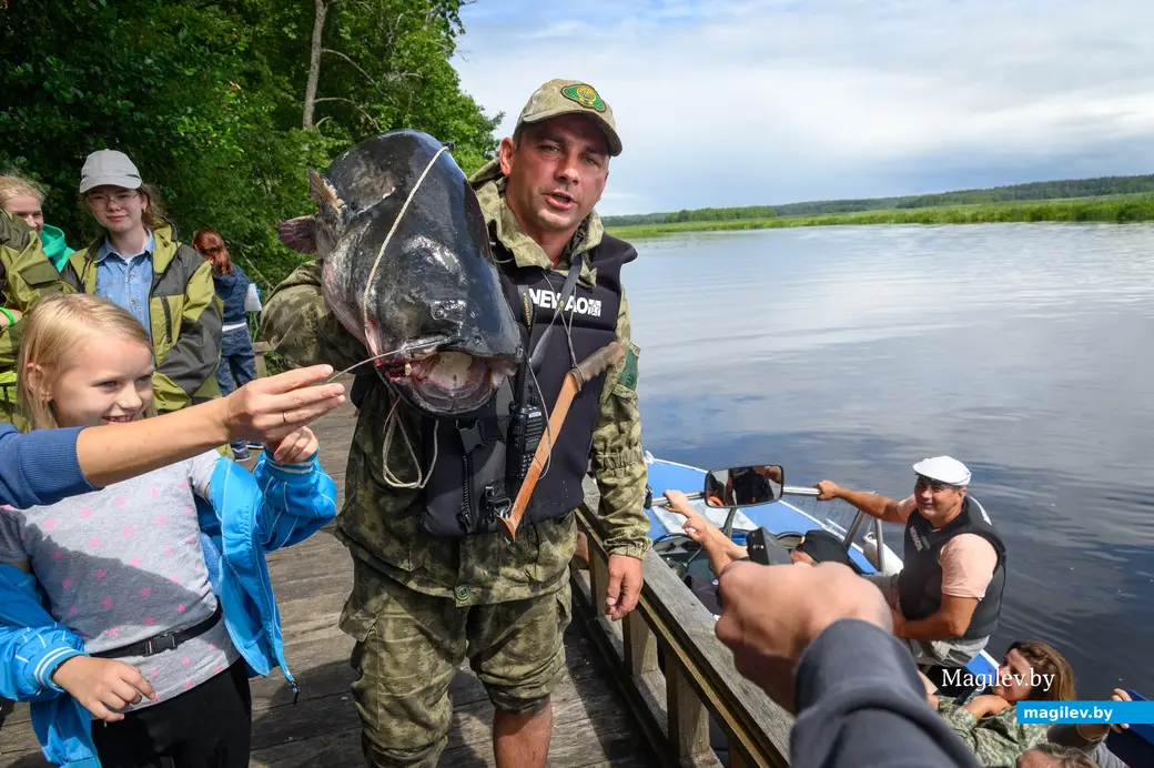 29.07.2023. Н10190, Коровчено, Черноборский сельский Совет, Быховский район, Могилёвская область, Беларусь. Николай Шепетов (Бобруйский лесхоз) со своим трофеем,