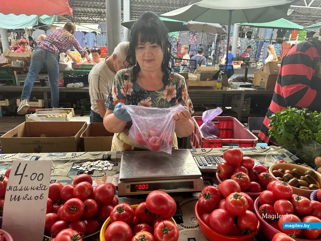 В помидорах не обнаружено ни одной жесткой прожилки. Могилев, Минский рынок, 29 августа 2023 года.