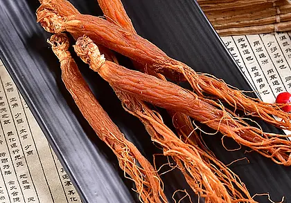 Обнаружено растение, которое подавляет алкогольную зависимость