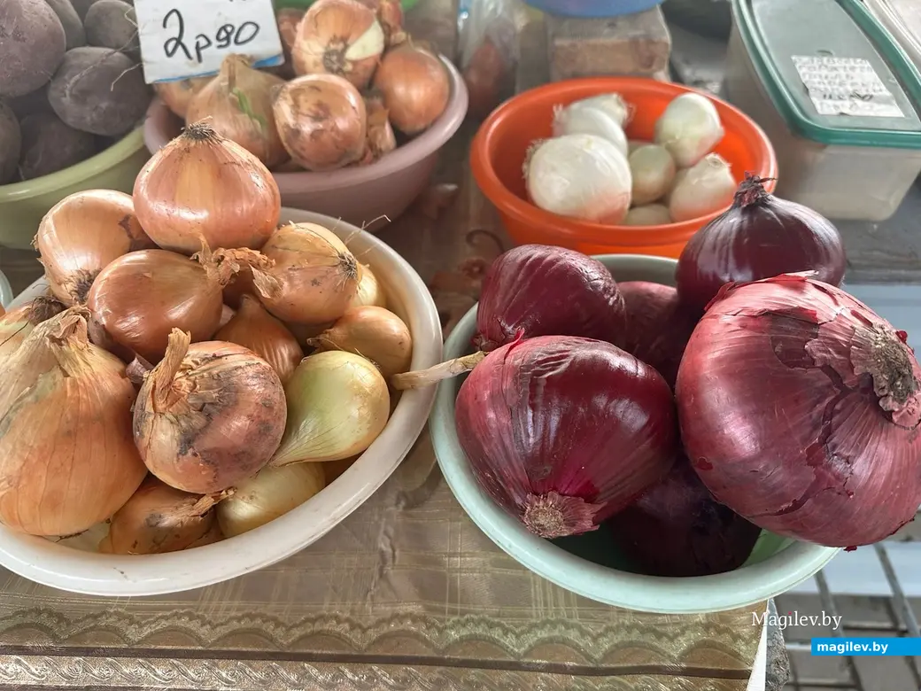 Лука – на любой вкус. Могилев, Минский рынок, 29 августа 2023 года.