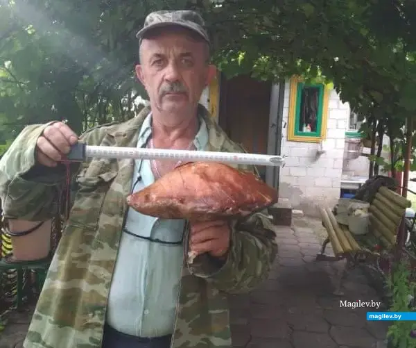 Сергей Александрович Кучинский из Бобруйска..