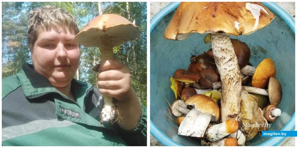 Улов Светланы Кочеровской из Бобруйска..