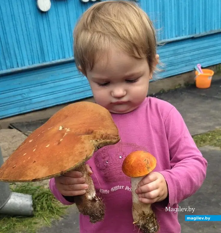 Это фото прислала Екатерина Быкова-Хаасма из Бобруйска. На нем ее дочь Ульяна.