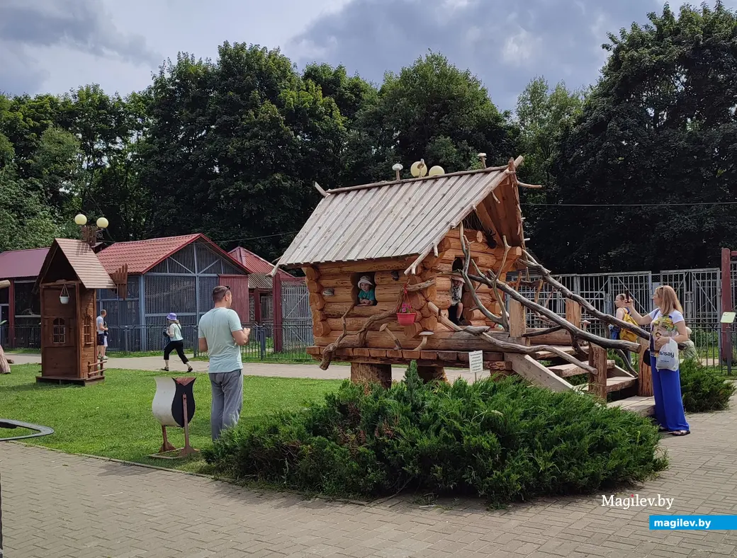 Прокатиться на поезде и покормить животных. Сколько стоит сходить семьей в  могилевский зоосад? | magilev.by