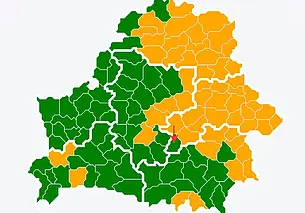 Карта запретов и ограничений на посещение лесов пожелтела. Что на Могилевщине?