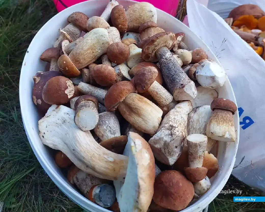 Фото Станислава Трухана из Бобруйска.