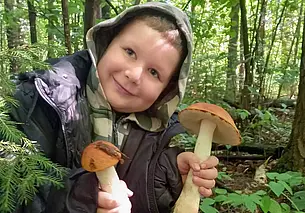 После дождей грибы «повалили»! Наш конкурс «Грибалка удалась!» продолжается