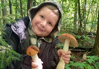 После дождей грибы «повалили»! Наш конкурс «Грибалка удалась!» продолжается
