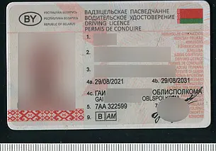 Житель Белыничей ездил с поддельным водительским удостоверением