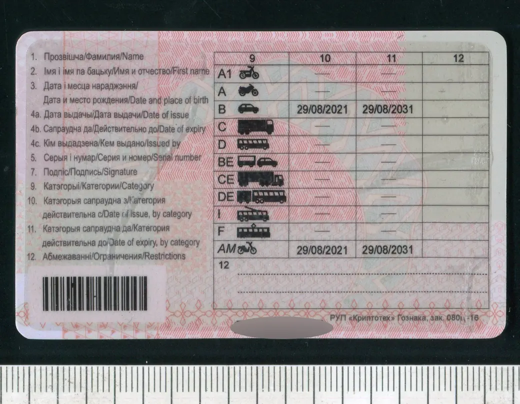 Житель Белыничей ездил с поддельным водительским удостоверением